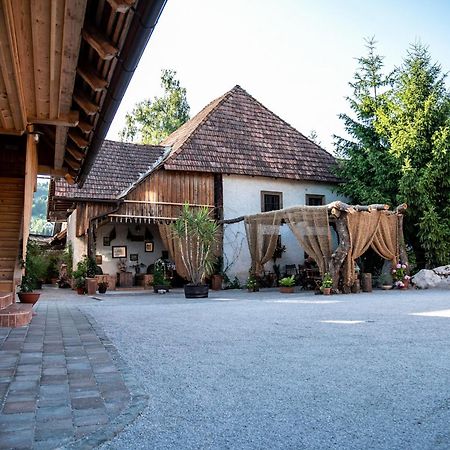 Resort Hisa Ida - Apartments With Hot Tub And Sauna Ivancna Gorica Eksteriør billede